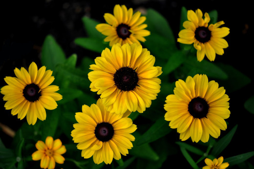 416653 (a): :2048x1360